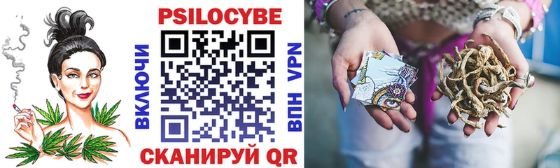 даркнет сайт  Власиха  Псилоцибиновые грибы ЛСД 